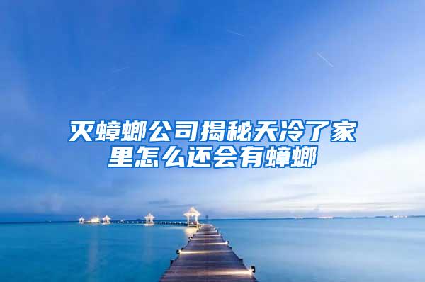 滅蟑螂公司揭秘天冷了家里怎么還會(huì)有蟑螂
