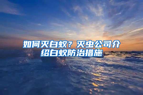 如何滅白蟻？滅蟲公司介紹白蟻防治措施