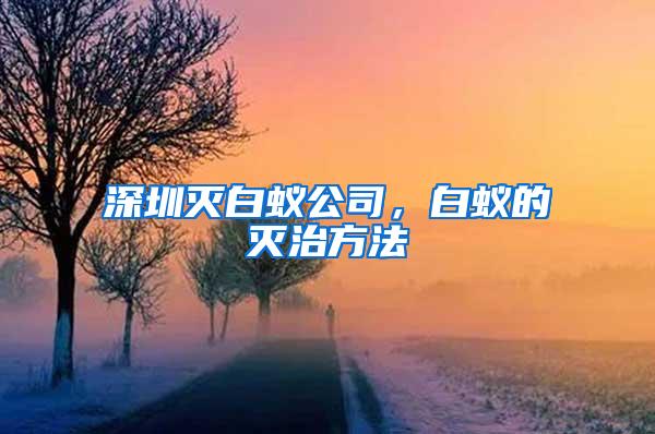深圳滅白蟻公司，白蟻的滅治方法