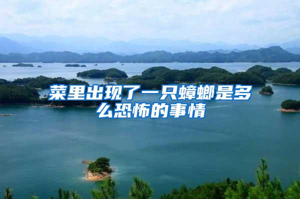 菜里出現(xiàn)了一只蟑螂是多么恐怖的事情