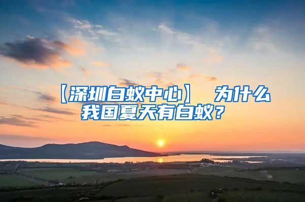 【深圳白蟻中心】 為什么我國夏天有白蟻？