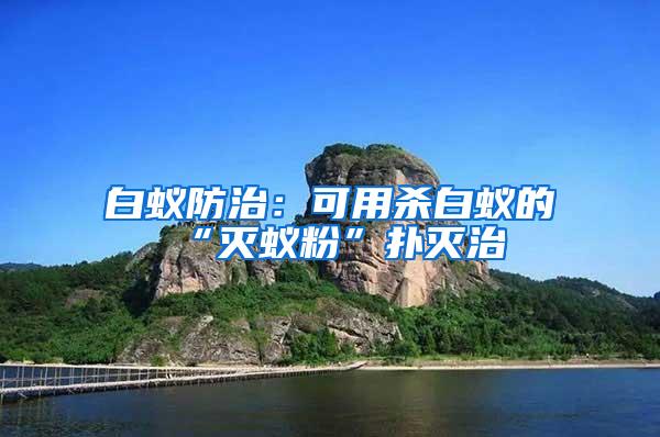 白蟻防治:可用殺白蟻的“滅蟻粉”撲滅治