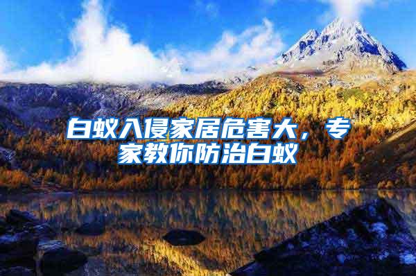 白蟻入侵家居危害大，專家教你防治白蟻