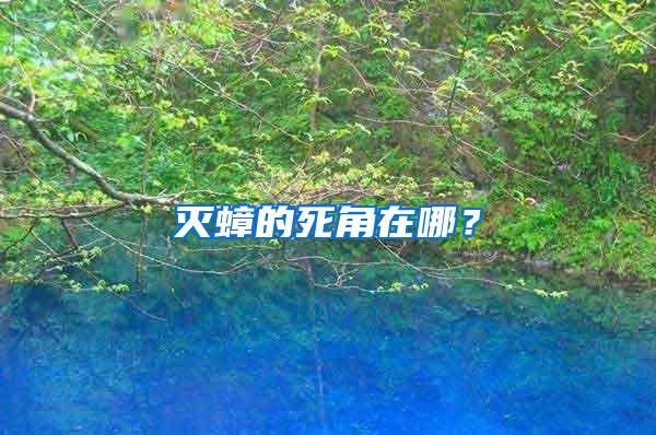 滅蟑的死角在哪？