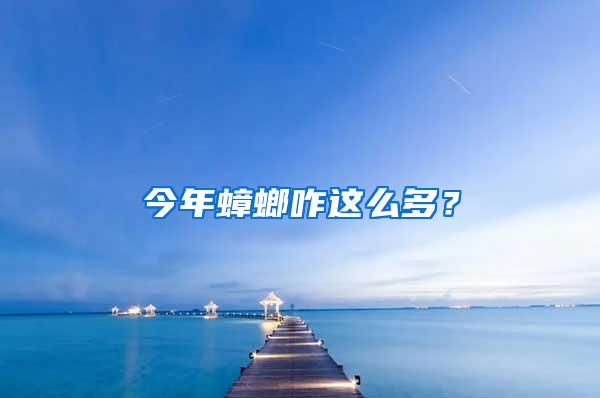 今年蟑螂咋這么多？