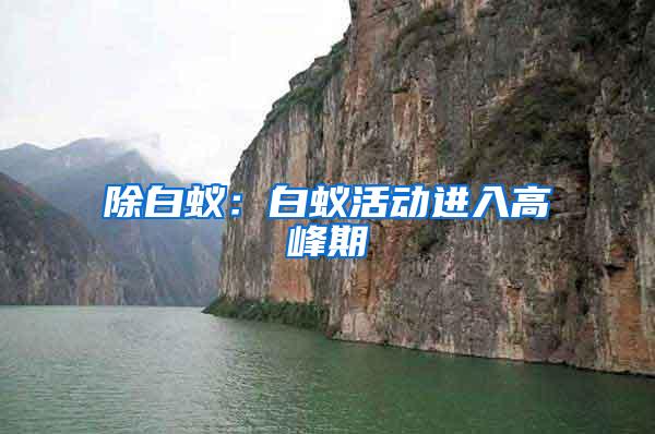 除白蟻:白蟻活動(dòng)進(jìn)入高峰期