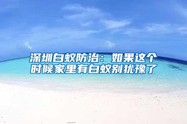 深圳白蟻防治:如果這個時候家里有白蟻別猶豫了