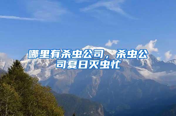 哪里有殺蟲公司，殺蟲公司夏日滅蟲忙