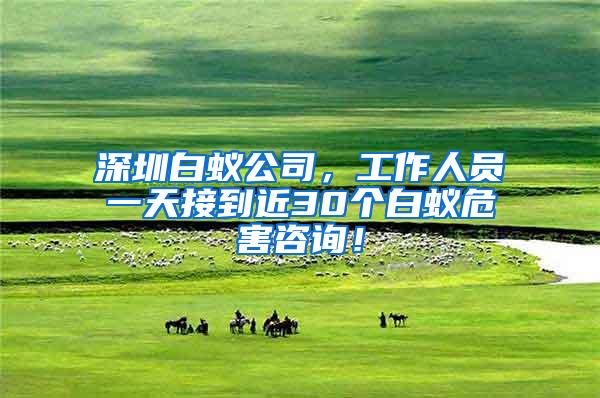 深圳白蟻公司，工作人員一天接到近30個(gè)白蟻危害咨詢！