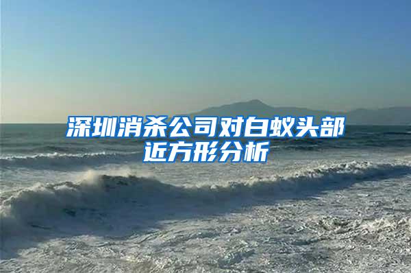 深圳消殺公司對白蟻頭部近方形分析