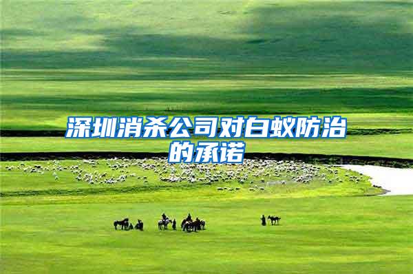 深圳消殺公司對(duì)白蟻防治的承諾
