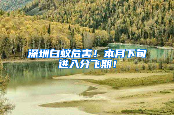 深圳白蟻危害！本月下旬進(jìn)入分飛期！