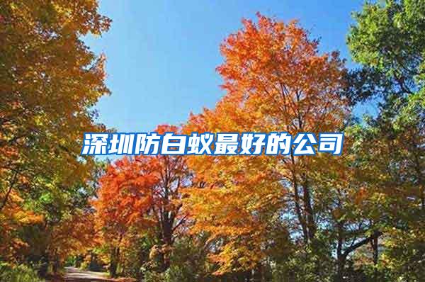 深圳防白蟻?zhàn)詈玫墓?/></p>
             <p style=