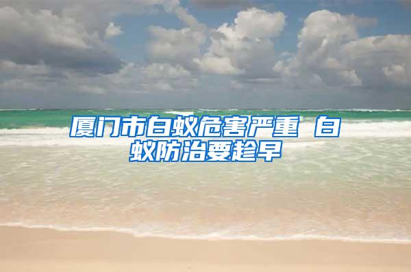 廈門市白蟻危害嚴(yán)重 白蟻防治要趁早