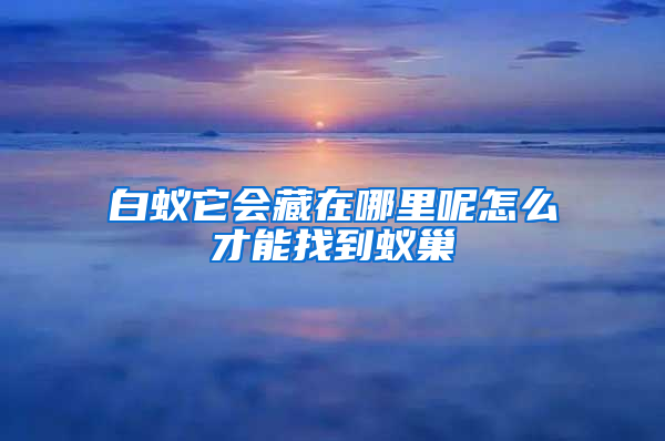 白蟻它會(huì)藏在哪里呢怎么才能找到蟻巢