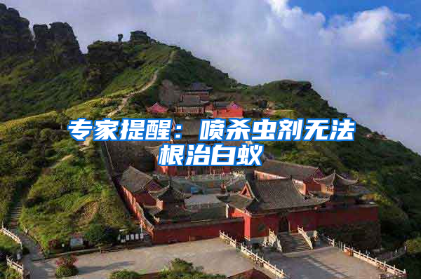 專家提醒:噴殺蟲劑無(wú)法根治白蟻