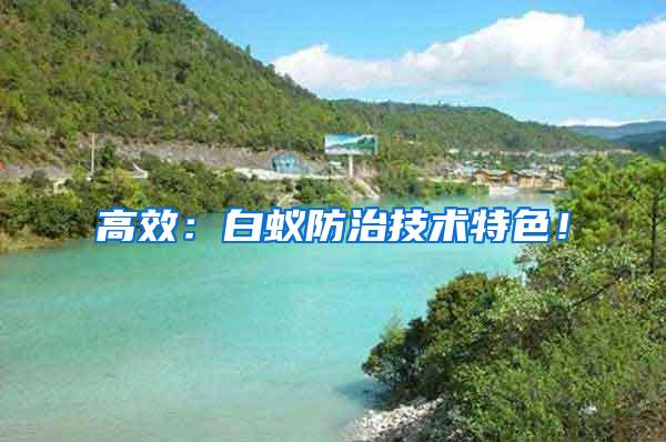 高效:白蟻防治技術(shù)特色!