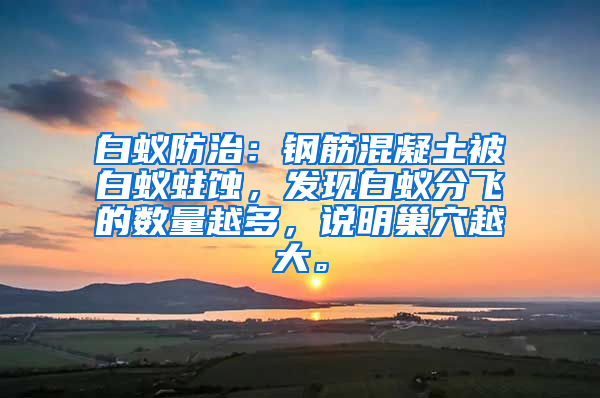 白蟻防治：鋼筋混凝土被白蟻蛀蝕，發(fā)現(xiàn)白蟻分飛的數(shù)量越多，說明巢穴越大。