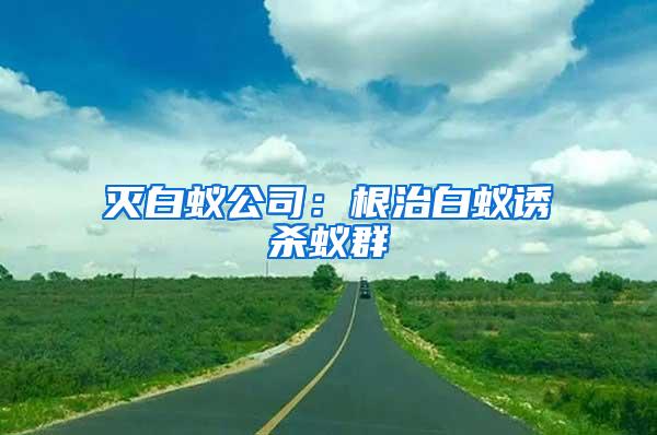 滅白蟻公司:根治白蟻誘殺蟻群