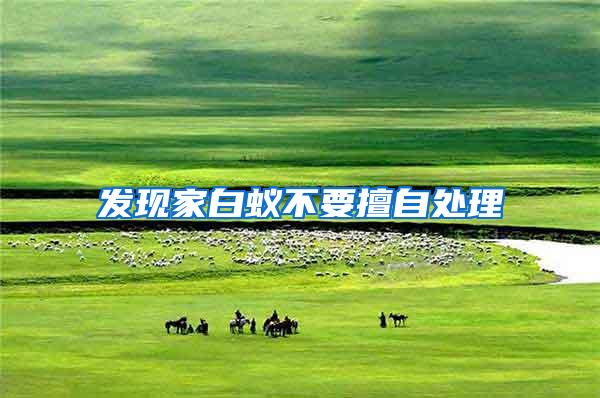 發(fā)現(xiàn)家白蟻不要擅自處理