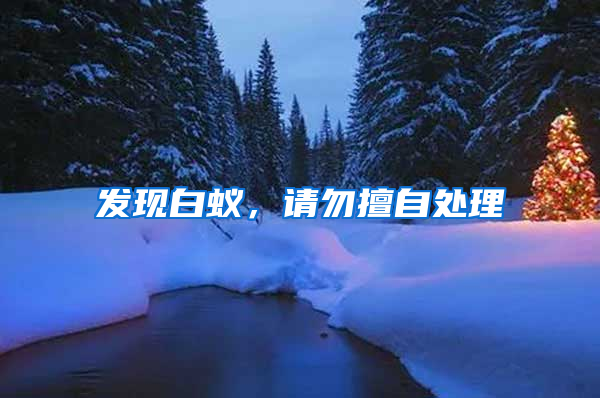 發(fā)現(xiàn)白蟻，請(qǐng)勿擅自處理