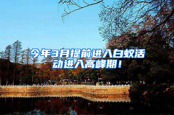 今年3月提前進(jìn)入白蟻活動(dòng)進(jìn)入高峰期！