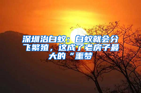 深圳治白蟻：白蟻就會(huì)分飛繁殖，這成了老房子最大的“噩夢