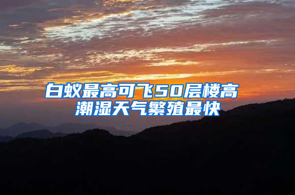 白蟻?zhàn)罡呖娠w50層樓高 潮濕天氣繁殖最快