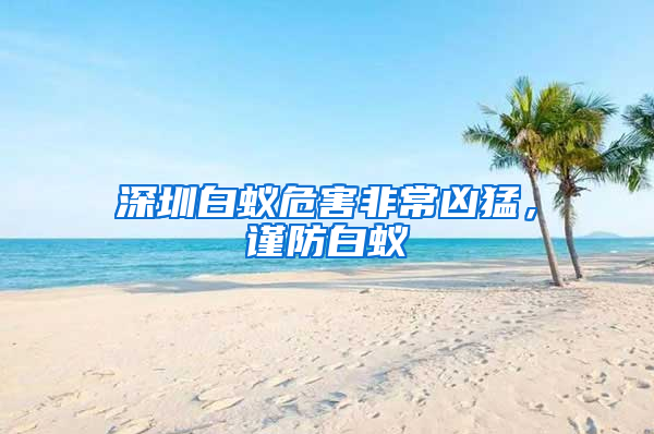 深圳白蟻危害非常兇猛，謹(jǐn)防白蟻