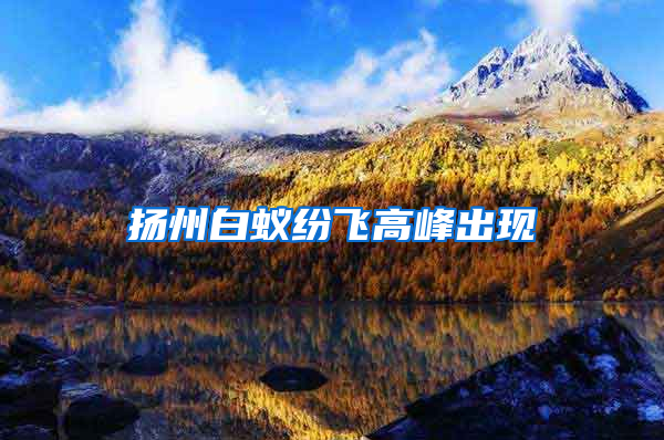 揚州白蟻紛飛高峰出現(xiàn)