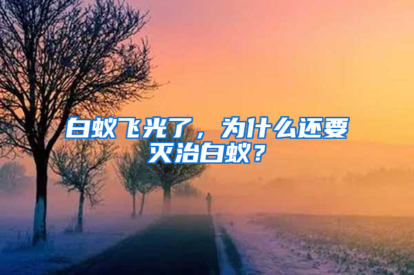 白蟻飛光了，為什么還要滅治白蟻？