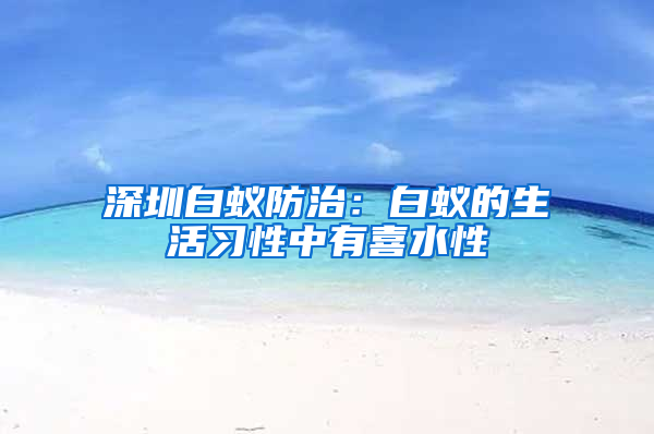 深圳白蟻防治:白蟻的生活習(xí)性中有喜水性
