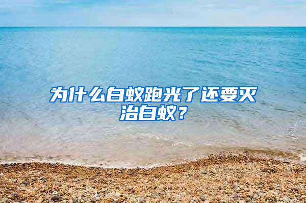 為什么白蟻跑光了還要滅治白蟻？