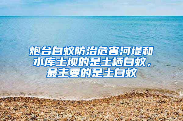 炮臺白蟻防治危害河堤和水庫土壩的是土棲白蟻,最主要的是土白蟻