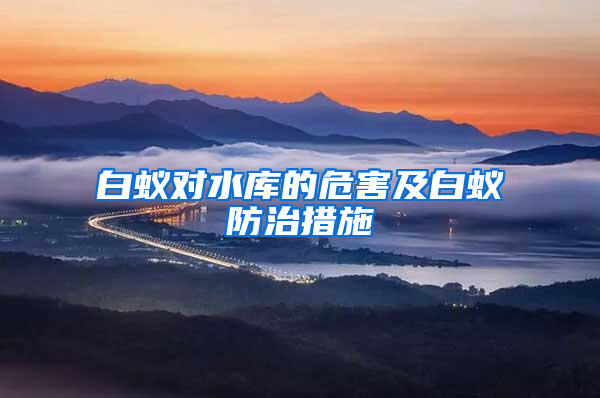 白蟻對(duì)水庫(kù)的危害及白蟻防治措施