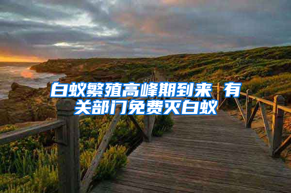 白蟻繁殖高峰期到來(lái) 有關(guān)部門免費(fèi)滅白蟻