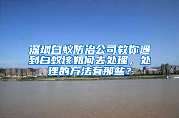 深圳白蟻防治公司教你遇到白蟻該如何去處理，處理的方法有那些？