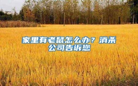 家里有老鼠怎么辦？消殺公司告訴您